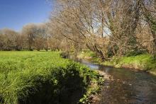 Parque fluvial das Brañas de Sar